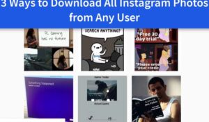 Download Instagram Photos from Any User in 5 Easy Steps