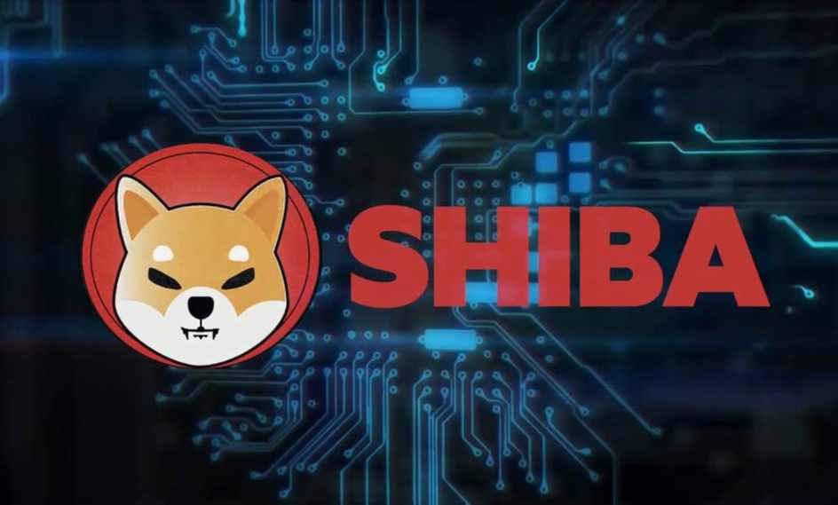 What are Shiba Inu coins, and why Shiba Inu value Increased?