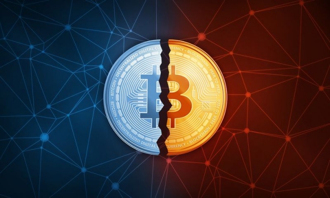 Bitcoin Halving: What Is It and What Does It Mean?
